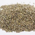 Hemp Seeds (Cannabis Indica/Tukhm e Bhang) تخم بھنگ