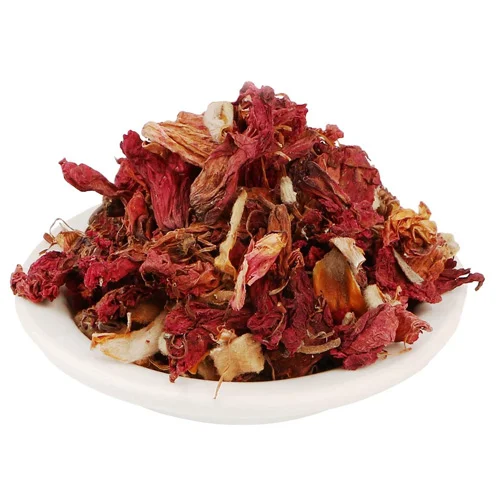 Hibiscus Gul e Gurhal %DA%AF%D9%84 %DA%AF%DA%91%DA%BE%D9%84