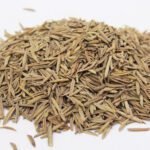 Tellicherry (Indarjo Talkh) اندرجوں تلخ،کوڑے جوں