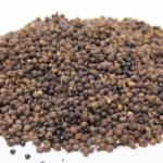 Toothache Fruit (Kababa) کبابہ