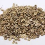 Common Mallow (Khubazi/Malva Neglecta) خبازی