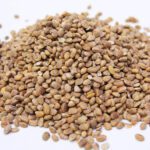 Charoli nuts (Charwanji) مغز چرونجی