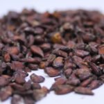 Quince Seeds (Bee Dana)بیدانہ،بہی دانہ