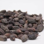 Neem Seeds (Tukhm e Neem) تخم نیم