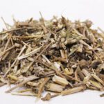 Chicory Root (Jar Kasni) جڑ کاسنی