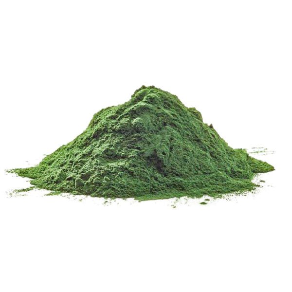 Spirulina Extract (Arthrospira Platensis)