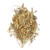 Gentiana Olivieri (Gul e Ghafis) گل غافث
