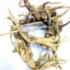 Dandelion Root (ڈینڈیلین جڑ)جڑقاصدی