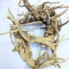 Dandelion Root (ڈینڈیلین جڑ)جڑقاصدی