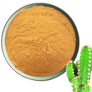 Hoodia gordonii Extract (African Hodia)