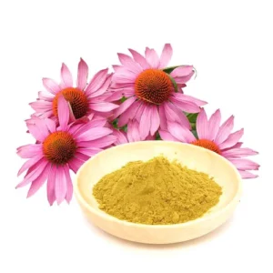 Echinacea Purpurea Extract (Coneflower)