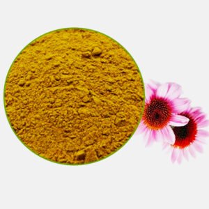 Echinacea Purpurea Extract (Coneflower)