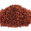 Sea Buckthorns سی بک تھارن