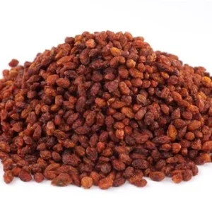 Sea Buckthorns سی بک تھارن