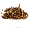 Picrorhiza kurroa (Kutki, Korr) کوڑ